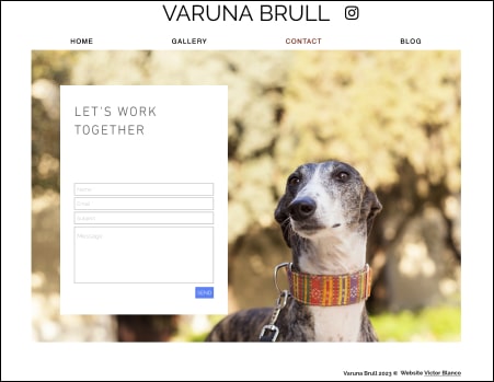 The contact form